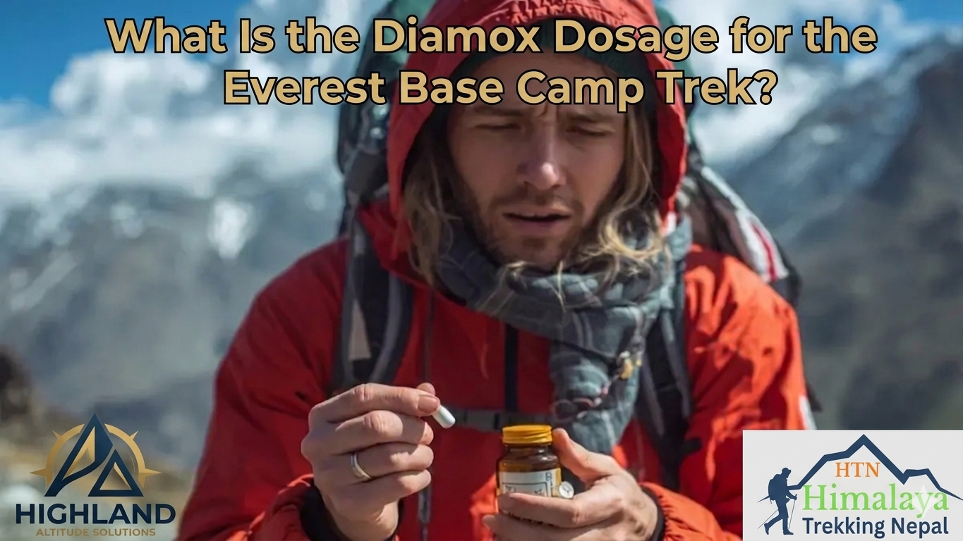 Diamox dosage guide for Everest Base Camp Trek showing recommended mg intake schedule for altitude sickness prevention